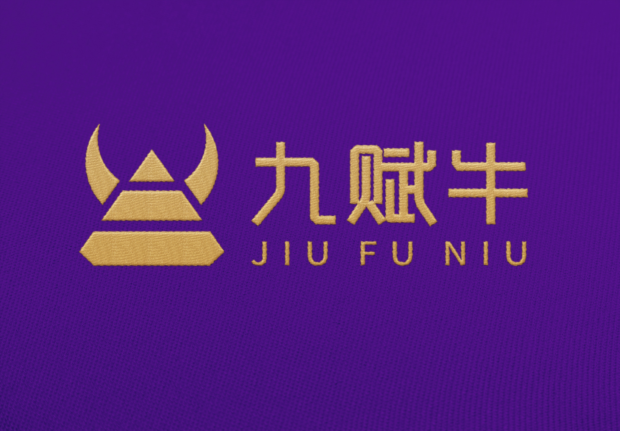 南寧教育投資機(jī)構(gòu)“九賦?！?品牌logo設(shè)計(jì)